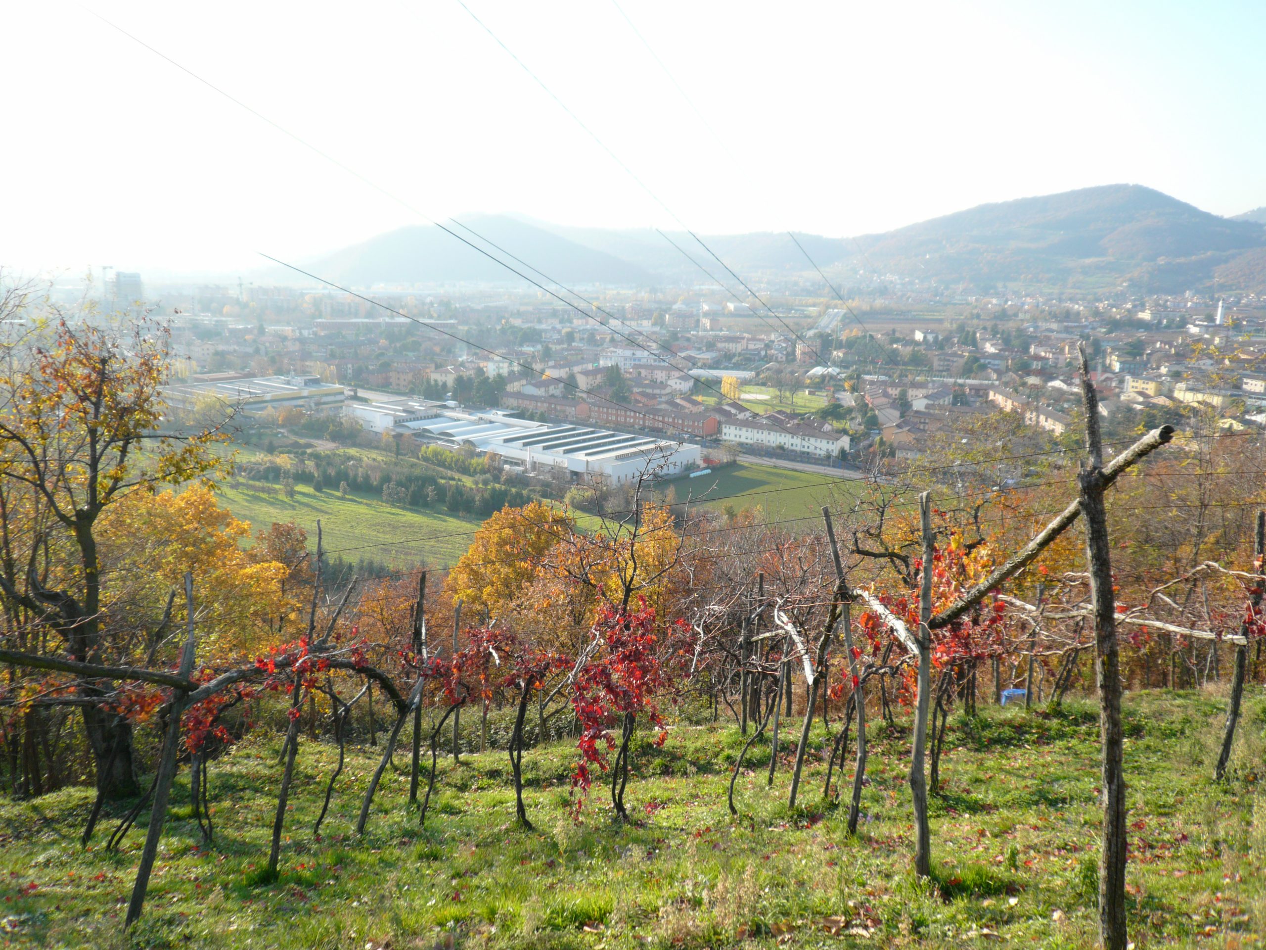 Fabbricato rurale e terreno a Mompiano - immagine 8