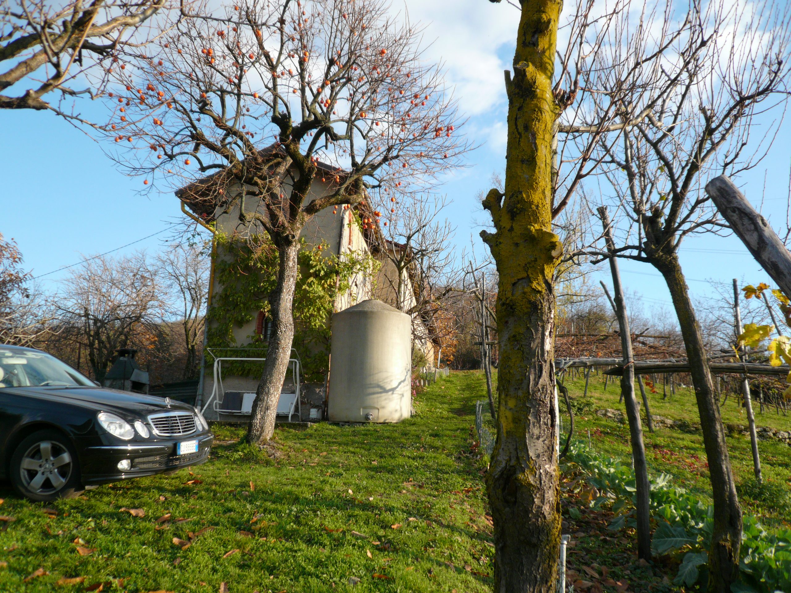 Fabbricato rurale e terreno a Mompiano - immagine 7